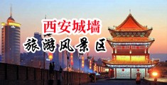 扣逼秀中国陕西-西安城墙旅游风景区